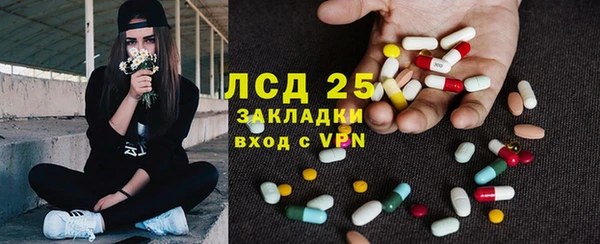 сатива Липки