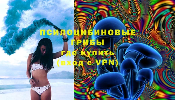 гашик Лиски