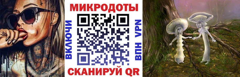 Галлюциногенные грибы Psilocybe Чекалин
